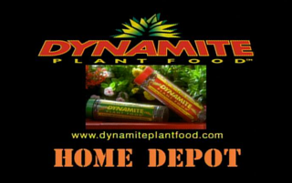 dynamite30-320
